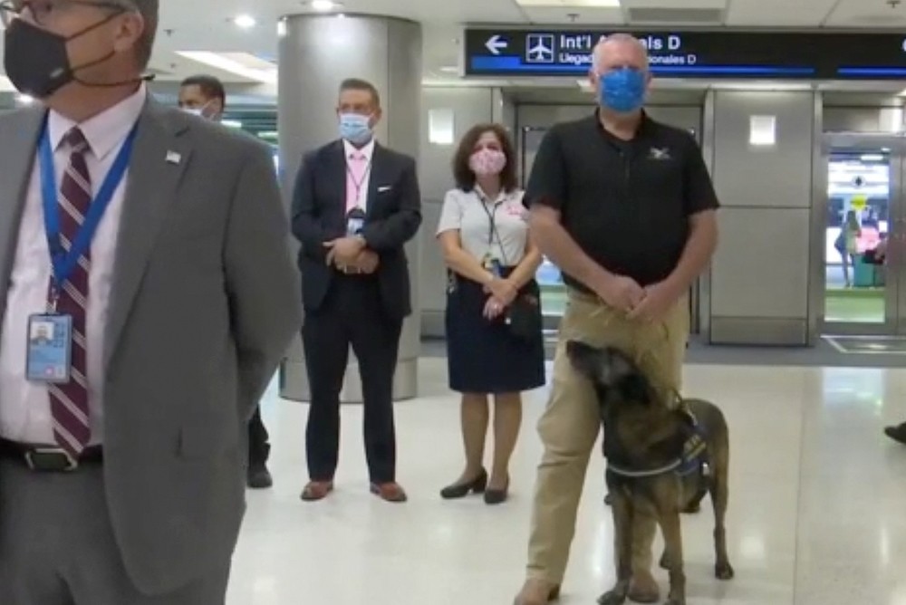 Аэропорт Майами (США) первым в мире нанял собак, натасканных на Covid-19