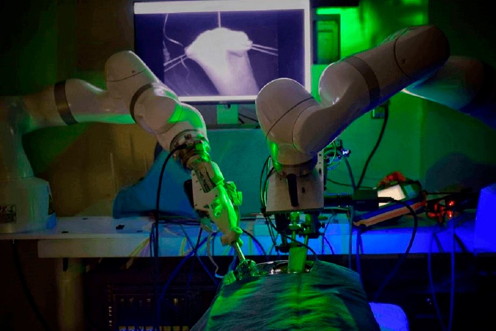 В США робот впервые провёл хирургическую операцию на кишечнике свиньи без участия человека