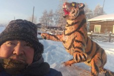 В Якутии из навоза слепили символ 2022 года — тигра