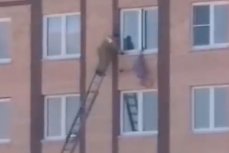 Пенсионерка выпала из окна пятиэтажки
